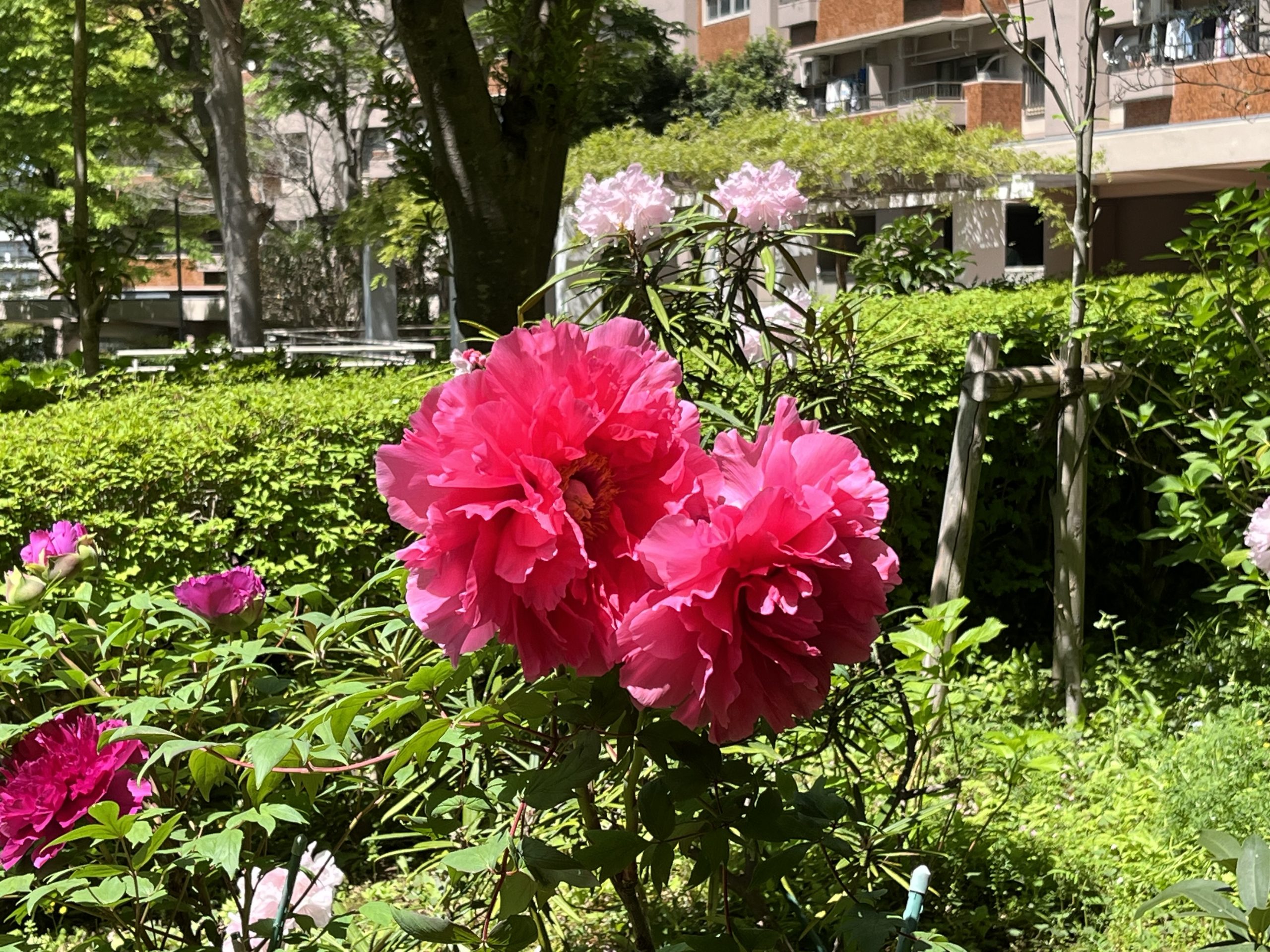 季節の花々と鳥
