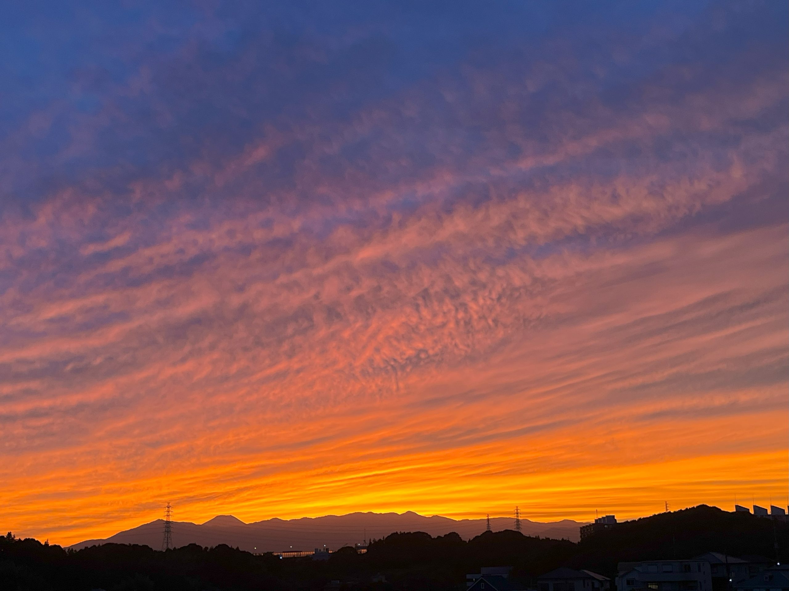 夕日