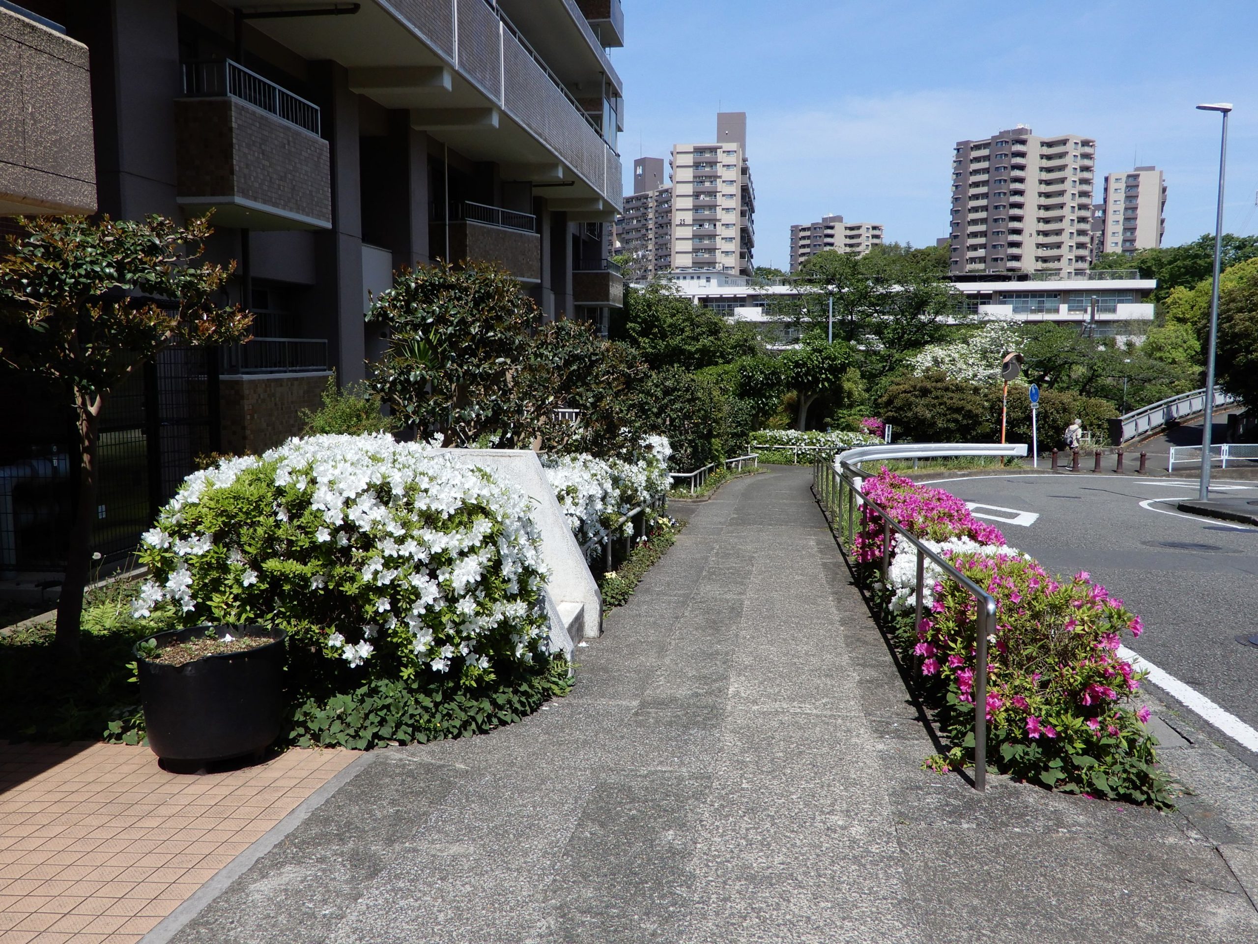 橋を渡ると近隣公園