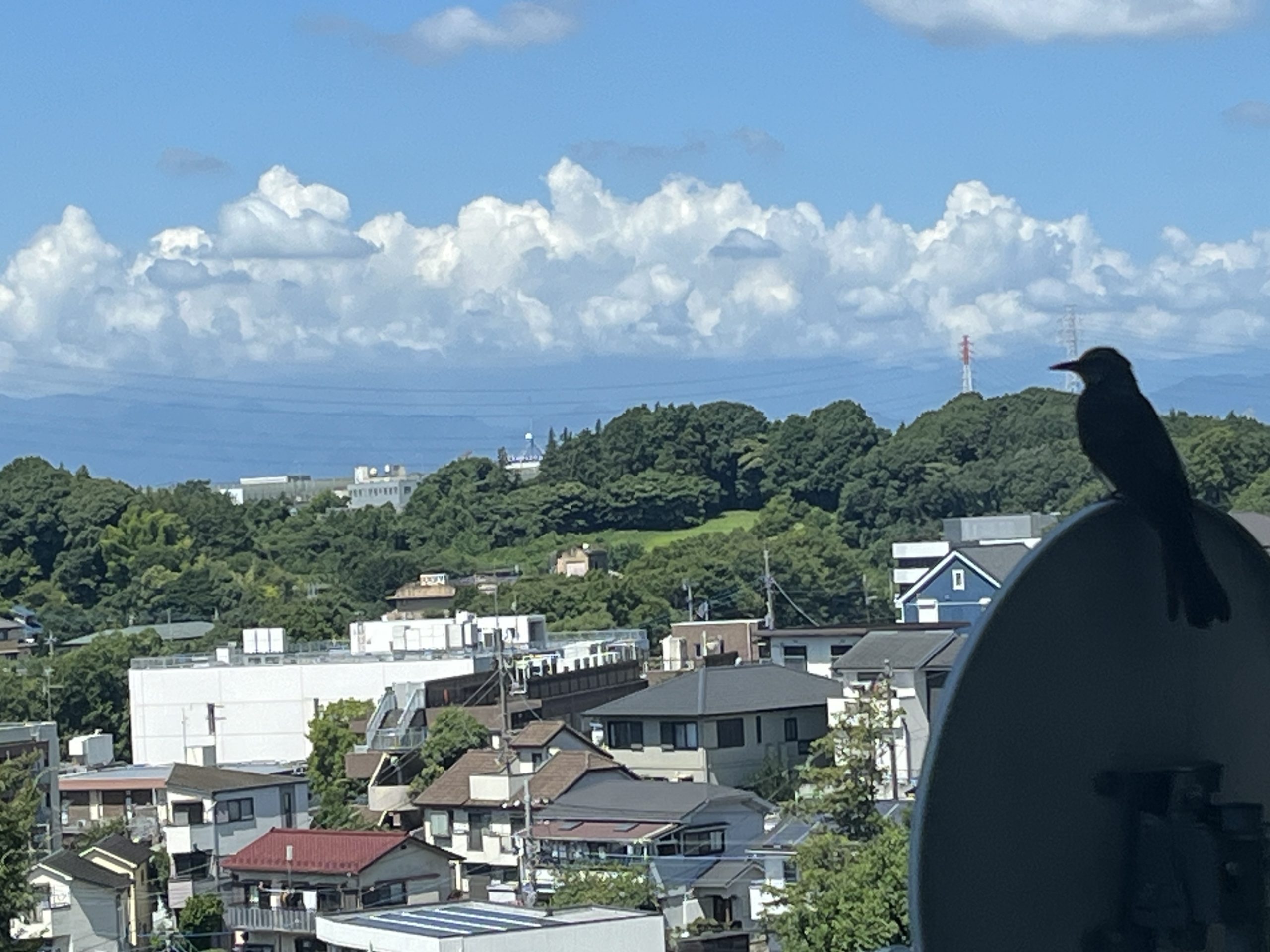 そびえ立つ山々と野鳥